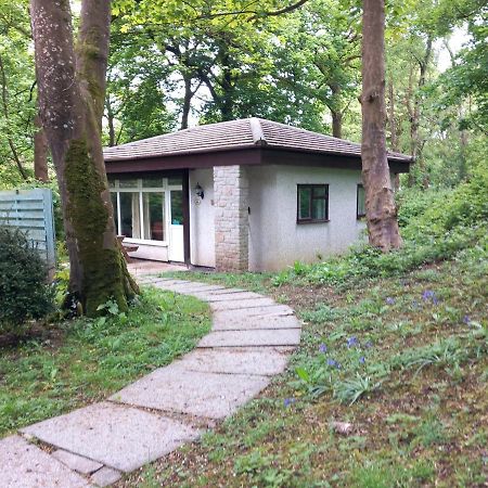 Woodland Retreat Villa Uny Lelant Екстериор снимка
