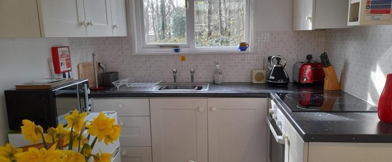 Woodland Retreat Villa Uny Lelant Екстериор снимка