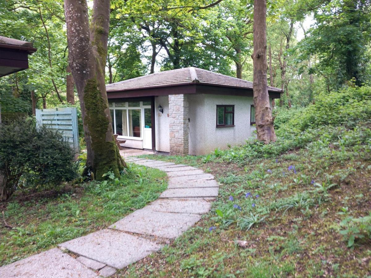 Woodland Retreat Villa Uny Lelant Екстериор снимка
